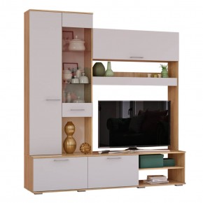 Гостиная Флай (ЦС-01/ШК-04) дуб сонома/белый в Тарко-Сале - tarko-sale.mebel24.online | фото 4