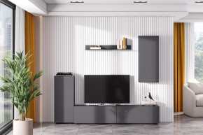 Гостиная МГС 10 (Графит) в Тарко-Сале - tarko-sale.mebel24.online | фото 1