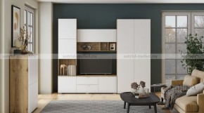 МИЛАН-1 Гостиная (модульная) в Тарко-Сале - tarko-sale.mebel24.online | фото 10