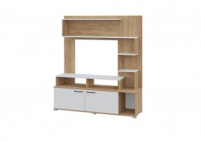 Гостиная Ника (Крафт золотой-белый) в Тарко-Сале - tarko-sale.mebel24.online | фото