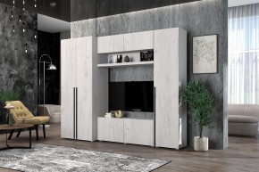 Гостиная Норден (Дуб Крафт белый) в Тарко-Сале - tarko-sale.mebel24.online | фото