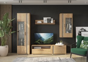 Гостиная Омега (Крафт золотой-Бетон) в Тарко-Сале - tarko-sale.mebel24.online | фото