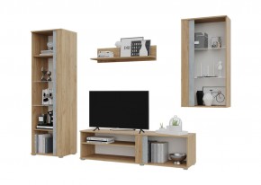 Гостиная Омега (Крафт золотой-Бетон) в Тарко-Сале - tarko-sale.mebel24.online | фото 3