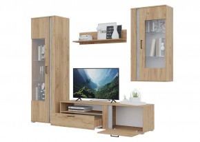 Гостиная Омега (Крафт золотой-Бетон) в Тарко-Сале - tarko-sale.mebel24.online | фото 4