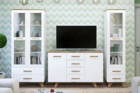 Гостиная Вега Скандинавия (комплект 1) в Тарко-Сале - tarko-sale.mebel24.online | фото