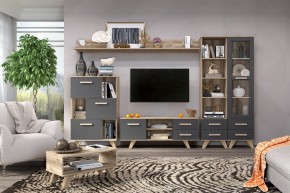 Гостиная Вега Скандинавия (комплект 6) в Тарко-Сале - tarko-sale.mebel24.online | фото 2
