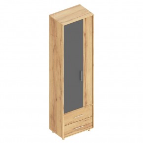 ГРАФ Шкаф 2-х створчатый с 2 ящиками (темно серый) в Тарко-Сале - tarko-sale.mebel24.online | фото 1