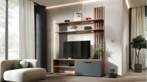 КАРОЛИНА Гостиная (дуб вотан/графит) в Тарко-Сале - tarko-sale.mebel24.online | фото