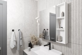 Кларити Шкаф зеркальный 16.312.03 в Тарко-Сале - tarko-sale.mebel24.online | фото