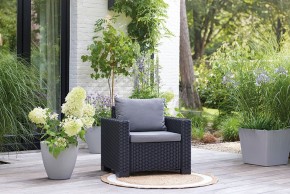 Комплект кресел Калифорния (California chair) графит в Тарко-Сале - tarko-sale.mebel24.online | фото 1