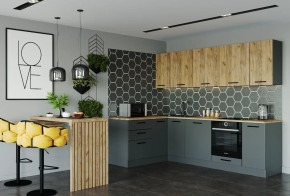 Кухонный гарнитур угловой Дели 2600*1600 (Стол. 26мм) в Тарко-Сале - tarko-sale.mebel24.online | фото