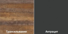 Кухонный гарнитур угловой Трансильвания 2400x1600 мм (Стол. 38 мм) в Тарко-Сале - tarko-sale.mebel24.online | фото 3