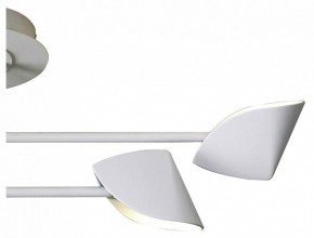 Люстра на штанге Mantra Capuccina 7574 в Тарко-Сале - tarko-sale.mebel24.online | фото 3