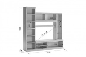 МАКСИ К1 Стенка для гостиной дуб сонома/белое дерево в Тарко-Сале - tarko-sale.mebel24.online | фото 1