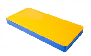 Мат гимнастический 1х0,5х0,08м цв. синий-желтый в Тарко-Сале - tarko-sale.mebel24.online | фото