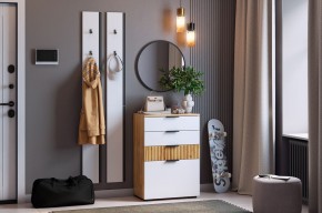 МЕБЕЛЬСОН К21 Прихожая в Тарко-Сале - tarko-sale.mebel24.online | фото
