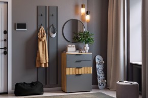 МЕБЕЛЬСОН К21 Прихожая в Тарко-Сале - tarko-sale.mebel24.online | фото 2