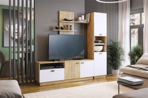 МОДИ Гостиная (модульная) белое дерево в Тарко-Сале - tarko-sale.mebel24.online | фото