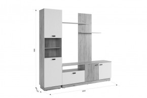 МОДИ Гостиная (модульная) белое дерево в Тарко-Сале - tarko-sale.mebel24.online | фото 2