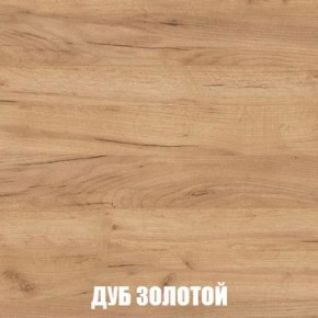 МСП-1 Шкаф 2-х створчатый (Дуб Золотой/Камень темный) в Тарко-Сале - tarko-sale.mebel24.online | фото 4