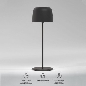 Настольная лампа декоративная Elektrostandard Bitty a069002 в Тарко-Сале - tarko-sale.mebel24.online | фото 2