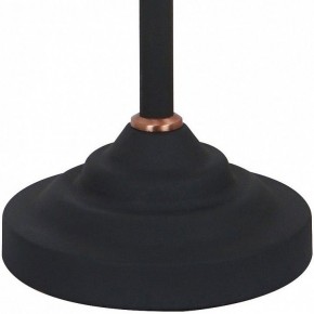 Настольная лампа офисная Arte Lamp Braccio A2054LT-1BK в Тарко-Сале - tarko-sale.mebel24.online | фото 4