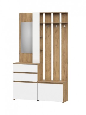 НЕКСТ 1 Вешалка с зеркалом + Шкаф 2-х ств. с ящиками в Тарко-Сале - tarko-sale.mebel24.online | фото 4