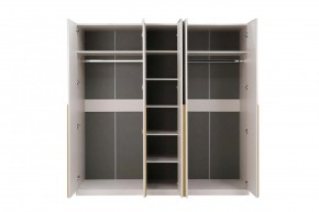 НИКОЛЬ 25 Шкаф 5-ти створчатый в Тарко-Сале - tarko-sale.mebel24.online | фото 3