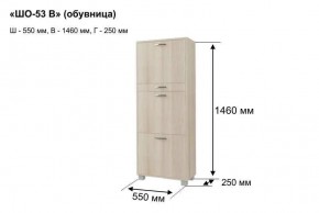 ШО-53 В тумба для обуви в Тарко-Сале - tarko-sale.mebel24.online | фото 8