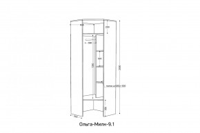 ОЛЬГА-МИЛК 9.1 Шкаф угловой без зеркала в Тарко-Сале - tarko-sale.mebel24.online | фото 2