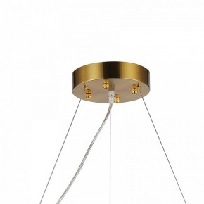 Подвесная люстра Favourite Magnitudo 2206-12P в Тарко-Сале - tarko-sale.mebel24.online | фото 7