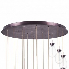 Подвесная люстра Lightstar Colore 805289 в Тарко-Сале - tarko-sale.mebel24.online | фото 6