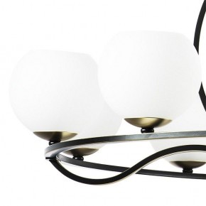Подвесная люстра Lightstar Enna 762117 в Тарко-Сале - tarko-sale.mebel24.online | фото 4