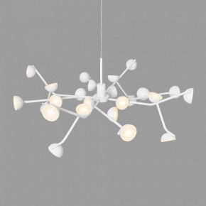 Подвесная люстра Mantra Adn 6261 в Тарко-Сале - tarko-sale.mebel24.online | фото 4