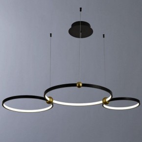 Подвесной светильник Divinare Amadeo 1123/04 SP-75 в Тарко-Сале - tarko-sale.mebel24.online | фото 2
