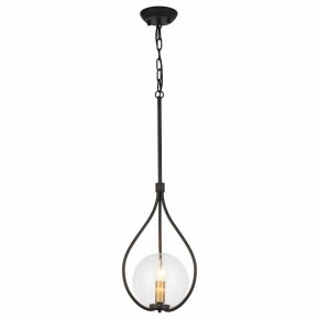 Подвесной светильник Favourite Kessel 1905-1P в Тарко-Сале - tarko-sale.mebel24.online | фото 2