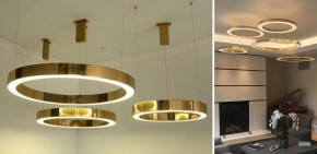 Подвесной светильник Imperiumloft Light Ring Horizontal 40.1454-100 в Тарко-Сале - tarko-sale.mebel24.online | фото 2