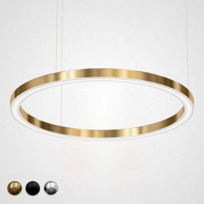 Подвесной светильник Imperiumloft Light Ring Horizontal 40.1454-120 в Тарко-Сале - tarko-sale.mebel24.online | фото