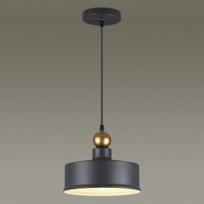 Подвесной светильник Odeon Light Bolli 4088/1 в Тарко-Сале - tarko-sale.mebel24.online | фото 4