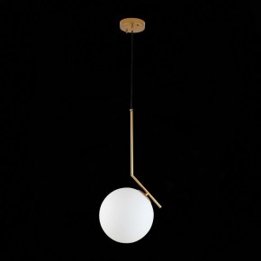 Подвесной светильник ST-Luce Codda SL1148.303.01 в Тарко-Сале - tarko-sale.mebel24.online | фото 6