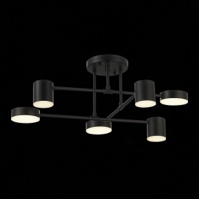 Потолочная люстра EVOLUCE Nobel SLE201042-06 в Тарко-Сале - tarko-sale.mebel24.online | фото 13