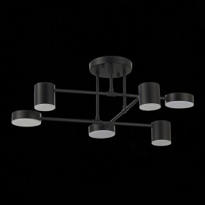 Потолочная люстра EVOLUCE Nobel SLE201042-06 в Тарко-Сале - tarko-sale.mebel24.online | фото 14