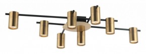 Потолочная люстра Favourite Topper 2827-8P в Тарко-Сале - tarko-sale.mebel24.online | фото 2