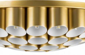 Потолочная люстра Lightstar Siena 720402 в Тарко-Сале - tarko-sale.mebel24.online | фото 3