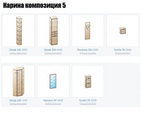 Прихожая Карина (модульная) в Тарко-Сале - tarko-sale.mebel24.online | фото 2