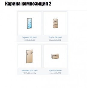 Прихожая Карина (модульная) в Тарко-Сале - tarko-sale.mebel24.online | фото 6