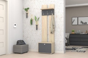 Прихожая Монако-2 (Дуб Сонома/Графит) в Тарко-Сале - tarko-sale.mebel24.online | фото 2