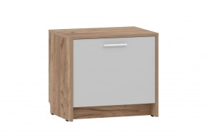 Прихожая "Нортон" (модульная) Крафт Табачный в Тарко-Сале - tarko-sale.mebel24.online | фото 8