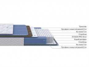 PROxSON Матрас Active Comfort M (Ткань Трикотаж Эко) 120x200 в Тарко-Сале - tarko-sale.mebel24.online | фото 2