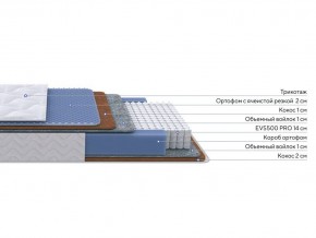 PROxSON Матрас Active Duo M/F (Ткань Трикотаж Эко) 120x200 в Тарко-Сале - tarko-sale.mebel24.online | фото 1